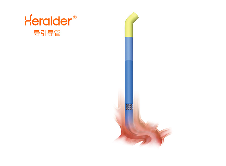 Heralder?导指导管